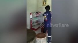 Giant king cobra caught in shop in southern Thailand