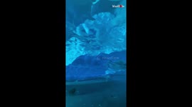 US glacier explorers swiftly exit ice cave after they hear loud cracking