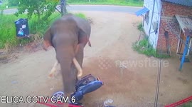 Furious elephant tramples parked motorcycle in Sri Lanka