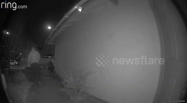 Cat runs into garage wall after being startled. Ouch, poor cat sounds like that hurt!