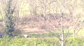 Office workers shocked by couple's outdoor romp in Crawley, UK