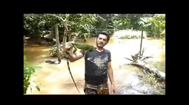 IGUANA O ANIMAL MAIS TRAFICADO DA AMAZÔNIA.