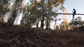 Giant seesaw in US woods
