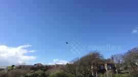 Dramatic raw footage of Royal Navy Seaking landing at St Bees