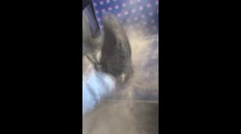 Train travellers 'expose' FGW cleanliness