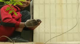 Newborn kitten rescued from pipe in China