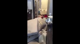 Calgary house trashed after Airbnb 'orgy'