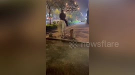 Man spotted riding horse as he walks dog in Chinese city
