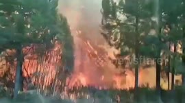 Fires devastate forests and houses in Argentina, 40 people missing