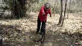 Serpent expert rescues and releases several black cobras in central India
