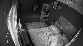 Pet cat crashes through ceiling as terrified owner wakes in shock