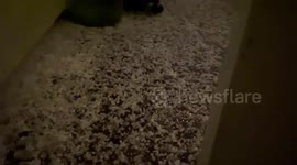 Surprise hail pelts over California