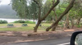 Beach Park Hawaii Flooded | Flash Flood after days of heavy rain on Oahu, Campsite fully flooded