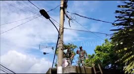 Soldiers carefully remove 3-metre-long python entangled in power lines in Indonesia