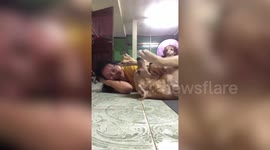 Funny moment cute dog refuses to let owner exercise
