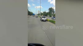 Dogs relax on top of moving pickup truck through road traffic in Thailand