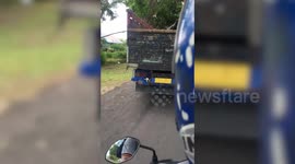 Hitch-hiking cat clings to back of moving truck in Indonesia
