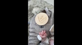 French bulldog snors while his baby brother is trying to sleep