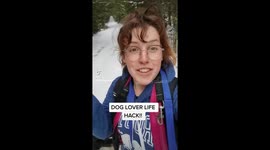 This dog owner life hack for snowball removal will change your life!