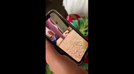 Peach faced lovebird parrot enjoys FaceTime