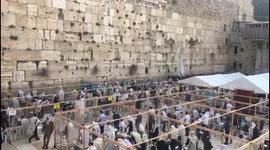 Jews offer prayers at Western Wall in special COVID-19 'capsules'