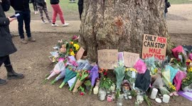 Signs of protest on a tree in clapham common mourning the death of Sarah Everard