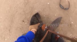 (Slow motion edit)The dangers of fishing line to our marine life, especially to seals
