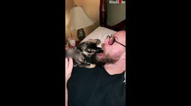 Owner Stunned After Trying the 'Open Your Mouth and See What Your Cat Does' Challenge