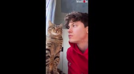 Cute Kitty Aces Top TikTok Trend for Pet Cats