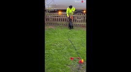 Excitable dog waits outside house every Wednesday to greet bin men in UK
