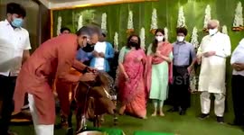 A cow lover Vijay Parsana  made silver jewelry for his cow-calf worth 1.5 lac