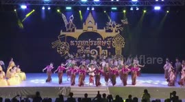 Cheeky dog steals show after walking onto stage during dance performance