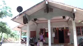 Thai family lives harmoniously with six bee hives on their home