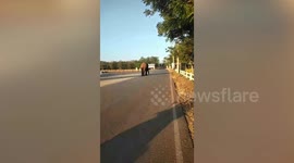 Elephant sparks panic after walking along village road in Thailand