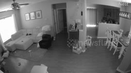 Ghost caught by Nest surveillance camera jumping off ottoman