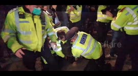 Scores of Met Police officers haul man to ground as they make arrest in Whitehall