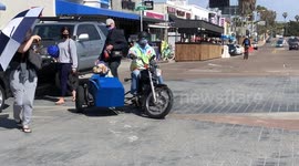 Famous surf dog Derby with a mohawk out for a Ride on his Motorcycle