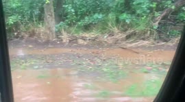 Flash flood damage Oahu hawaii | river overflows floods street | natural disaster