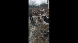 'Angry Turkey Chases Men Away (Hilarious) '