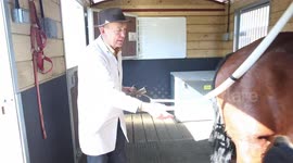 British farmer produces world's most expensive milk from HORSES, costing £13 a pint or $18 for half a litre