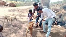 Man organizes feast for dogs in central India