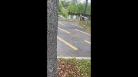 trying to be friendly with a squirrel, I mistook my fingers for the bread she ate