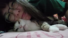 I kiss my cat regardless of the outcome. His  fluffy hair and cute little face are irresistible. I  can't do anything about it.