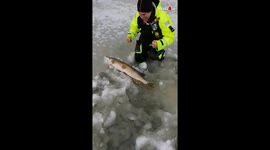 Swedish angler cannot contain excitement as he reels in huge fish from frozen lake