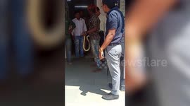 You're under arressst! Snake rescued from police station in central India