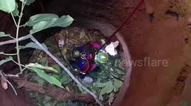 Kitten rescued after spending two days trapped in abandoned well in Thailand