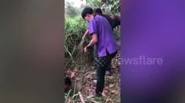 Stray dog rescued after falling into deep drain in Thailand