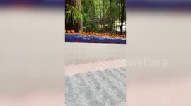 Children play on temple steps overflowing with water after heavy rain