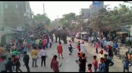Furious elephant flips over tractor during Hindu procession in northeast India