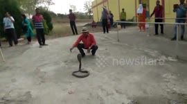 Serpent expert captures cobra found in schoolyard in central India